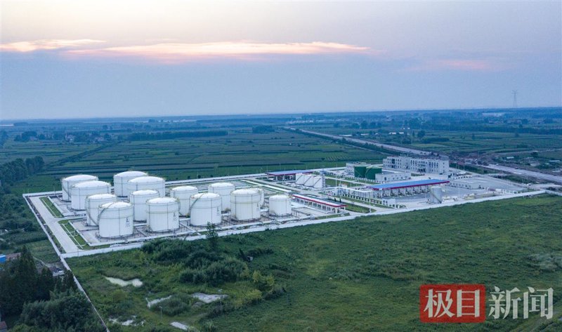 企业官网定制:塑造品牌与竞争力的桥梁